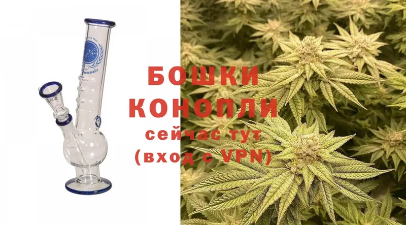 omg маркетплейс  Ревда  даркнет как зайти  Конопля OG Kush 